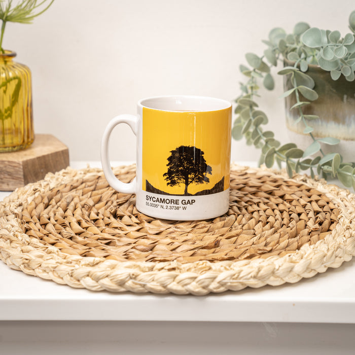 Sycamore Gap Tree Northumberland Mug & Coaster