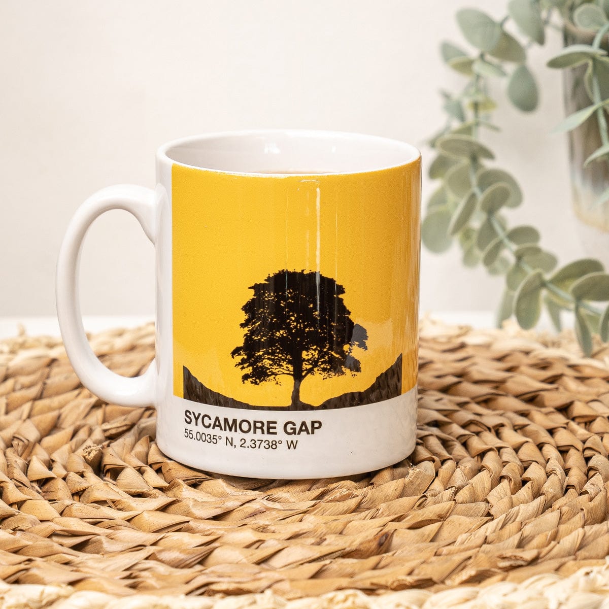 Sycamore Gap Tree Northumberland Mug & Coaster